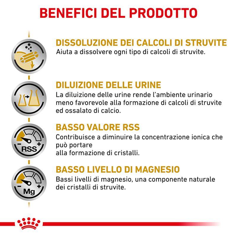 Bitiba Royal Canin Veterinary Feline Urinary S/O Crocchette per gatto Limitato a 3 giorni