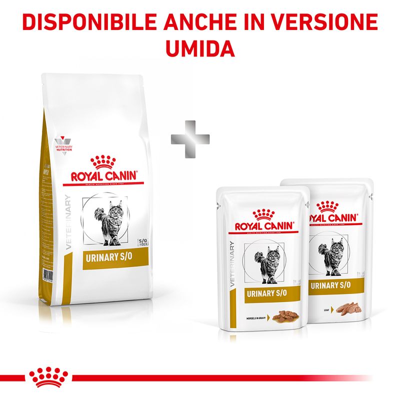 Bitiba Royal Canin Veterinary Feline Urinary S/O Crocchette per gatto Limitato a 3 giorni