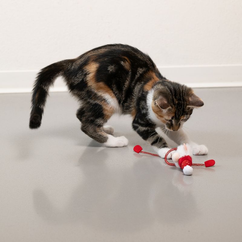 Bitiba Gioco per gatti natalizio TIAKI Santa Long Legs Vendita